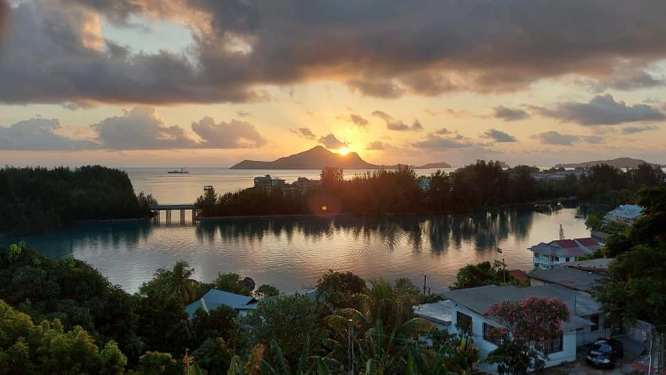 شقة Hibiscus House Seychelles Self Catering فيكتوريا المظهر الخارجي الصورة