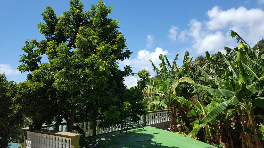 شقة Hibiscus House Seychelles Self Catering فيكتوريا المظهر الخارجي الصورة