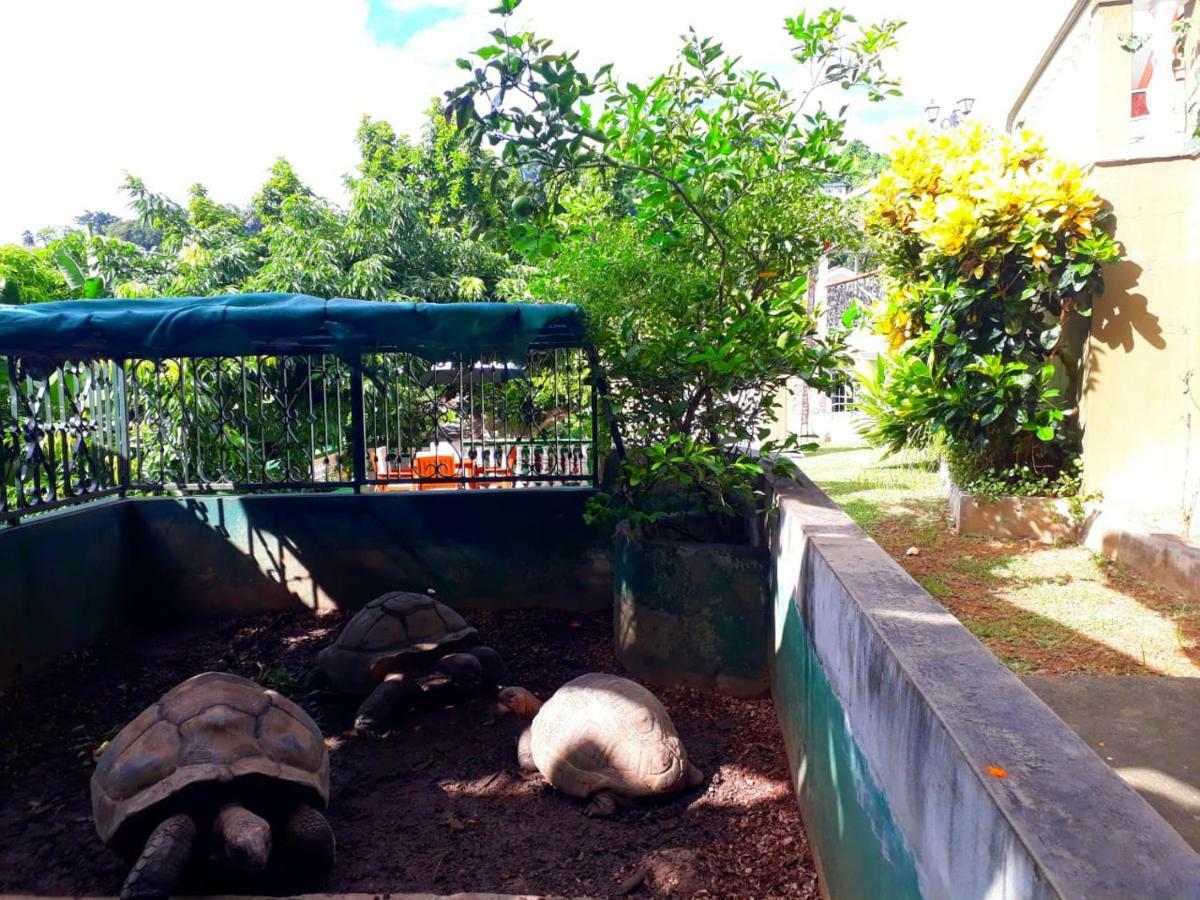 شقة Hibiscus House Seychelles Self Catering فيكتوريا المظهر الخارجي الصورة